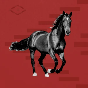 Equestrian